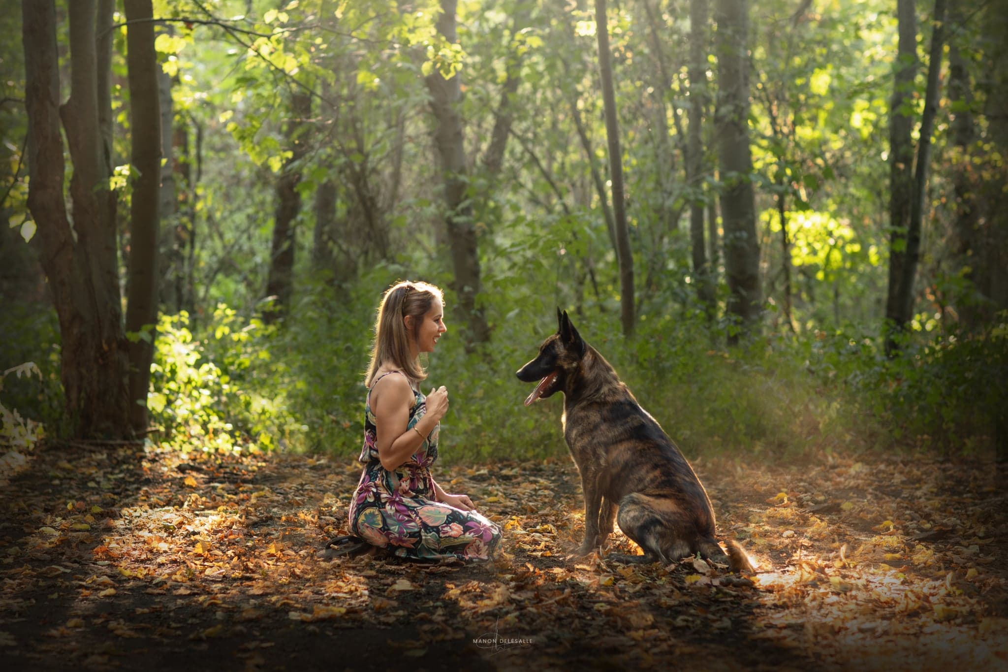Chien heureux et bien éduqué